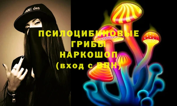 амф Корсаков