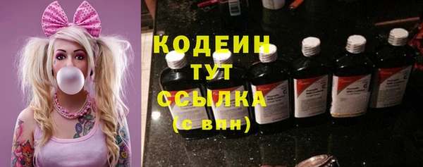 дживик Костерёво