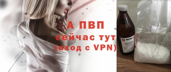 дживик Костерёво