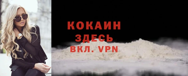 дживик Костерёво