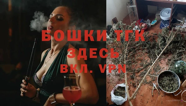 дживик Костерёво