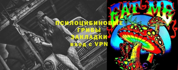 амф Корсаков