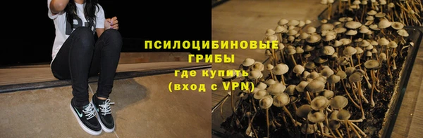 амф Корсаков