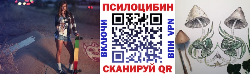 хочу наркоту Нерехта Псилоцибиновые грибы Cubensis